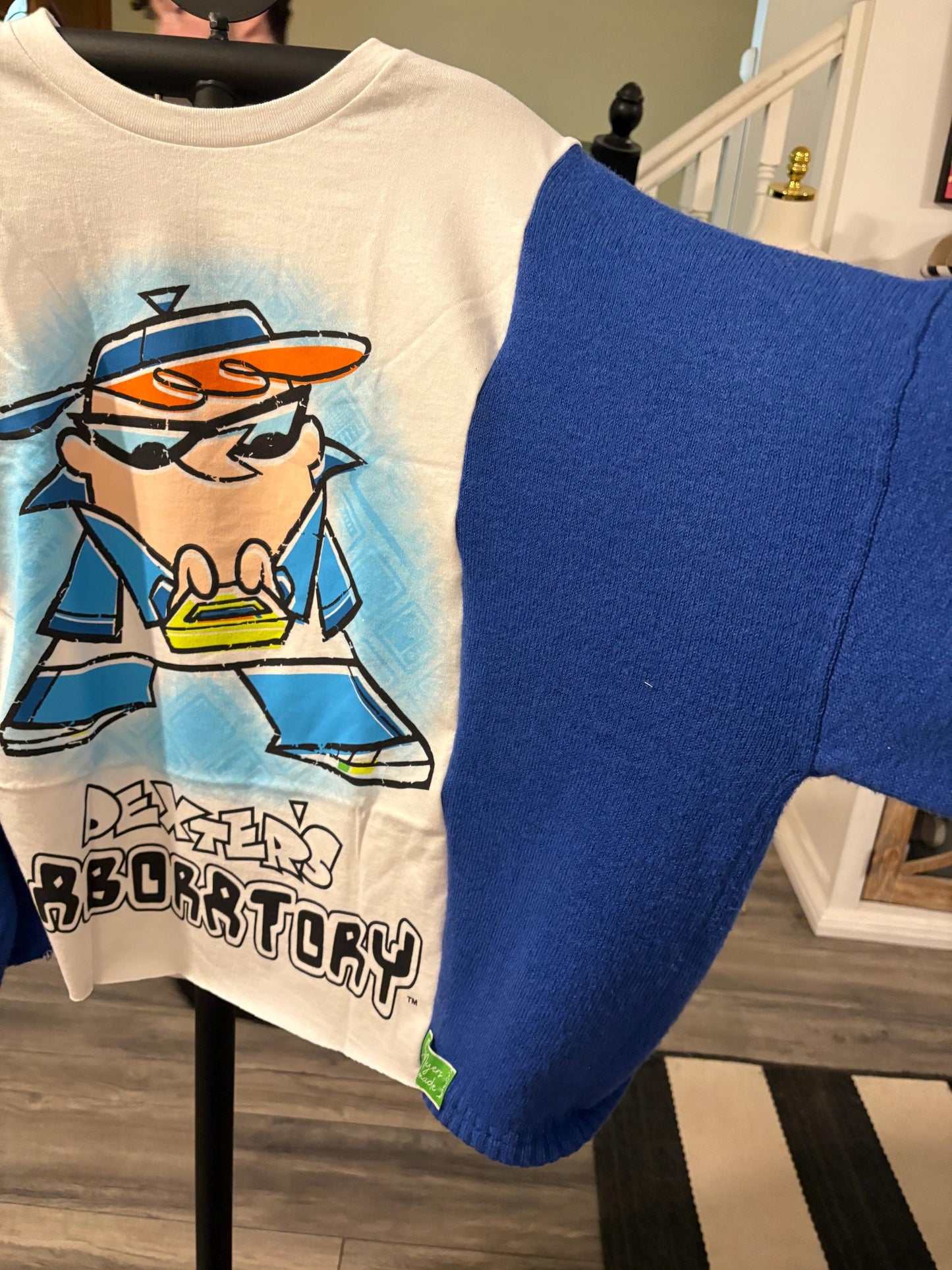 Dexters Laboratory Upcycled Drop Shoulder Sweater Fits a Small to XXL