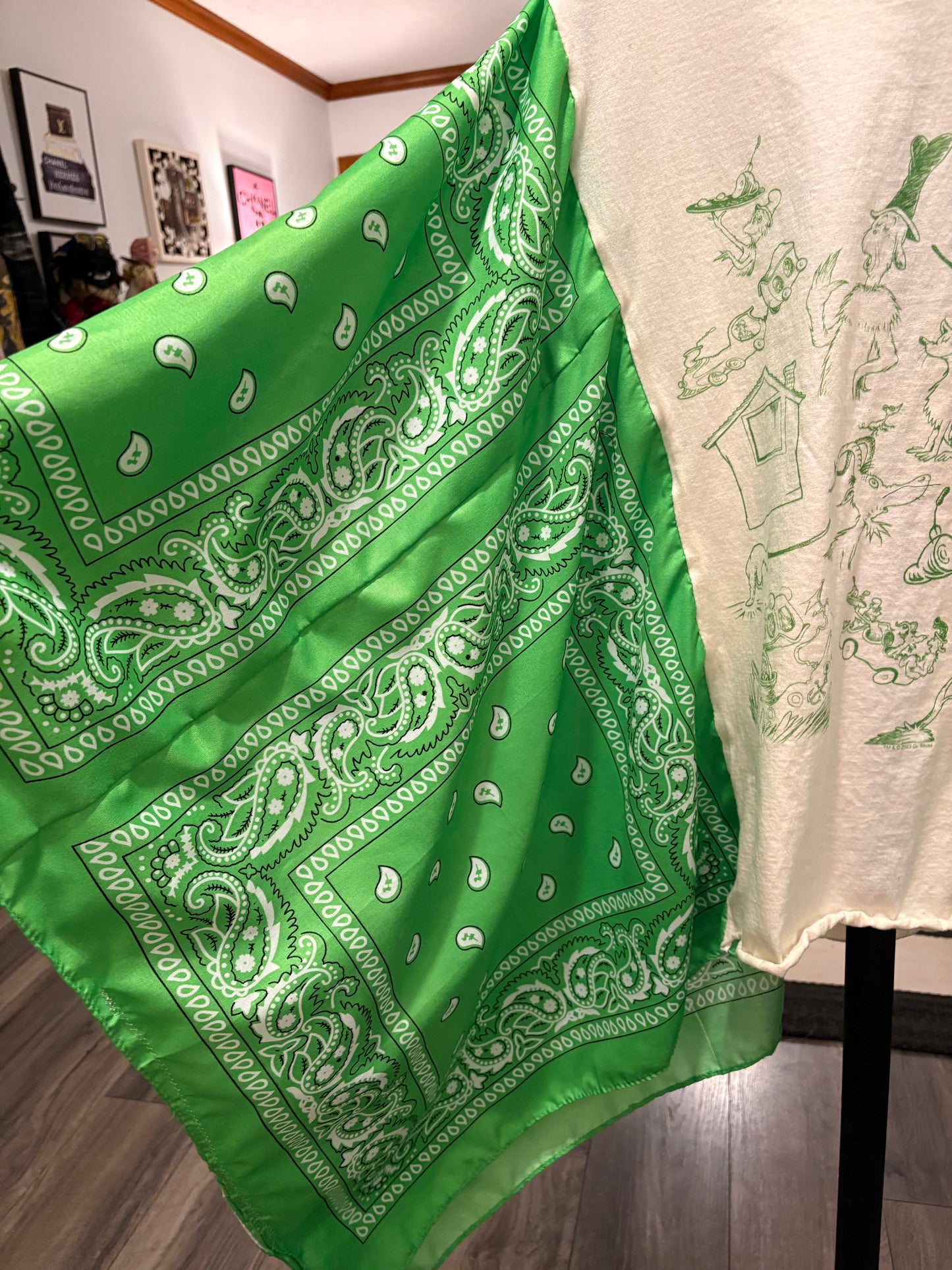 Green Eggs Bandana Poncho Tee Fits a Small to 2X