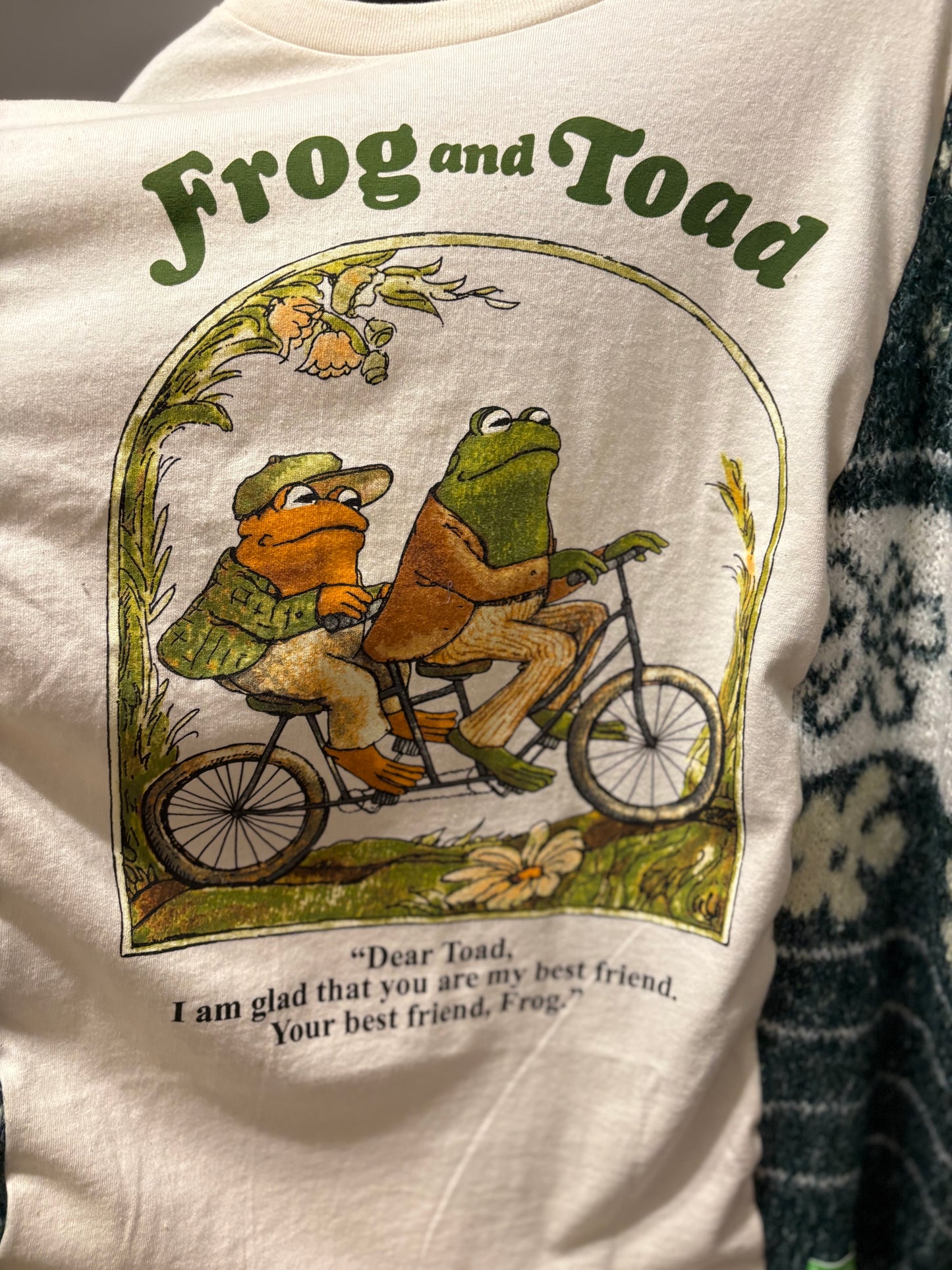 Frog and Toad Upcycled Drop Sleeve Sweater Tee One Size Fits a Large to 4X