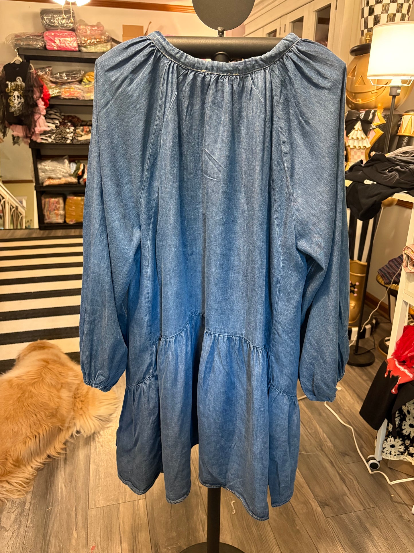 Easel Jean Dress