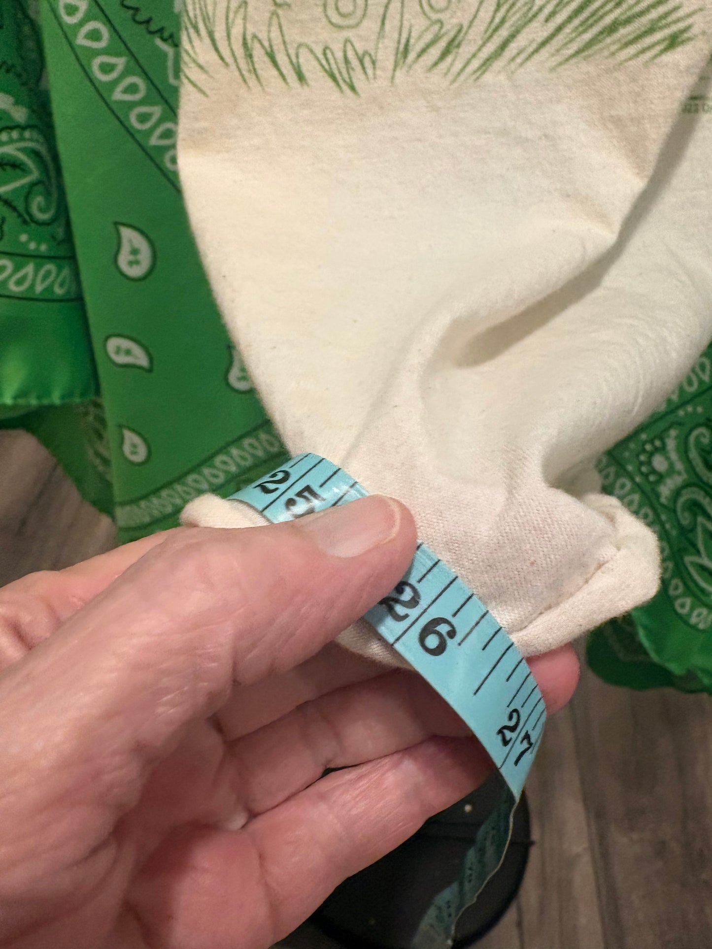 Green Eggs Bandana Poncho Tee Fits a Small to 2X