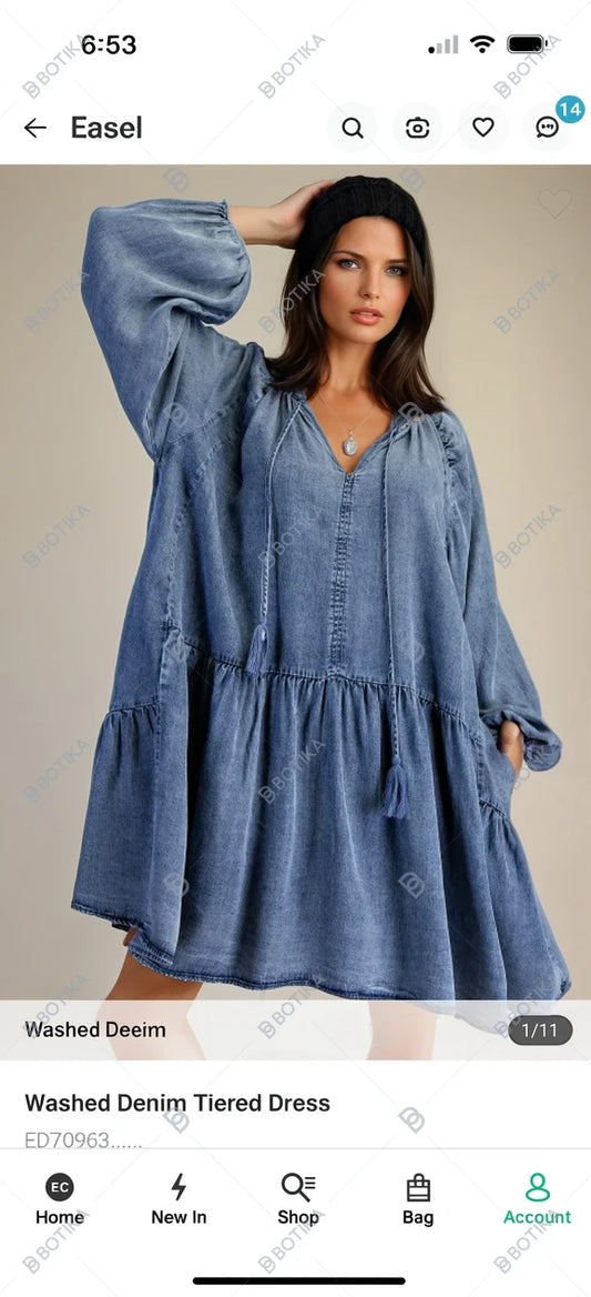 Easel Jean Dress